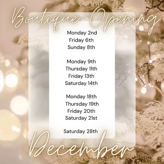 Christmas Opening Hours Image